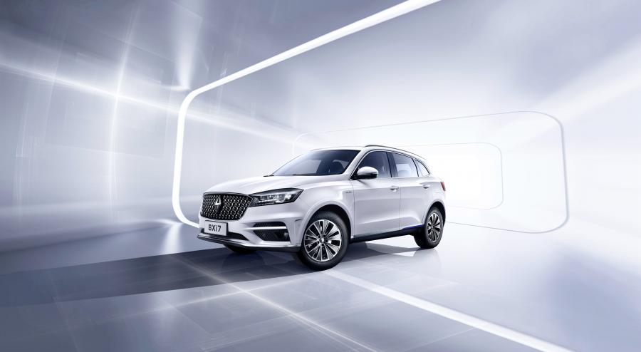  Borgward BXi7 2018 года  (фото 1 из 8)